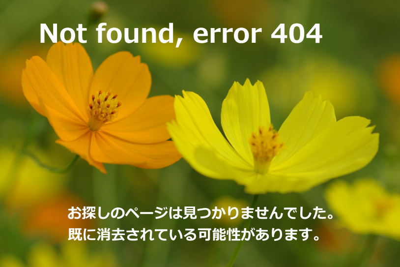 not found,404