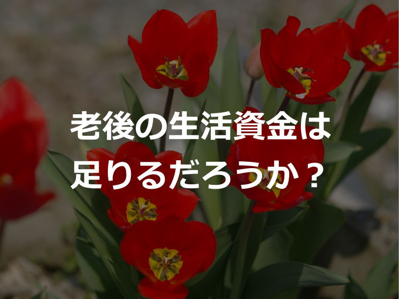 seikatusikinn814-610